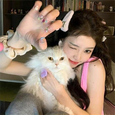 狐妖小红娘