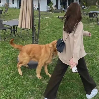 反串仍是爱